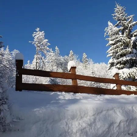 埃里卡旅馆 招待所 *
