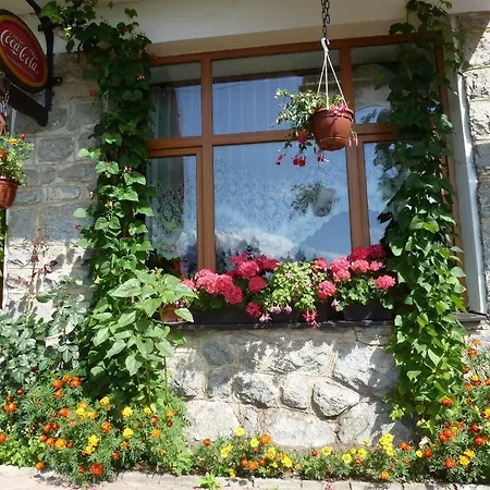 埃里卡旅馆 招待所